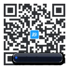 系统版 iOS 二维码