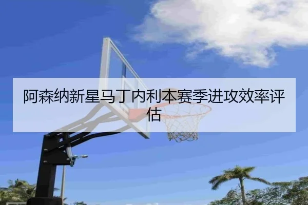 a-sen-na-xin-xing-ma-ding-nei-li-ben-sai-ji-jin-gong-xiao-lv-ping-gu-2-833.jpg